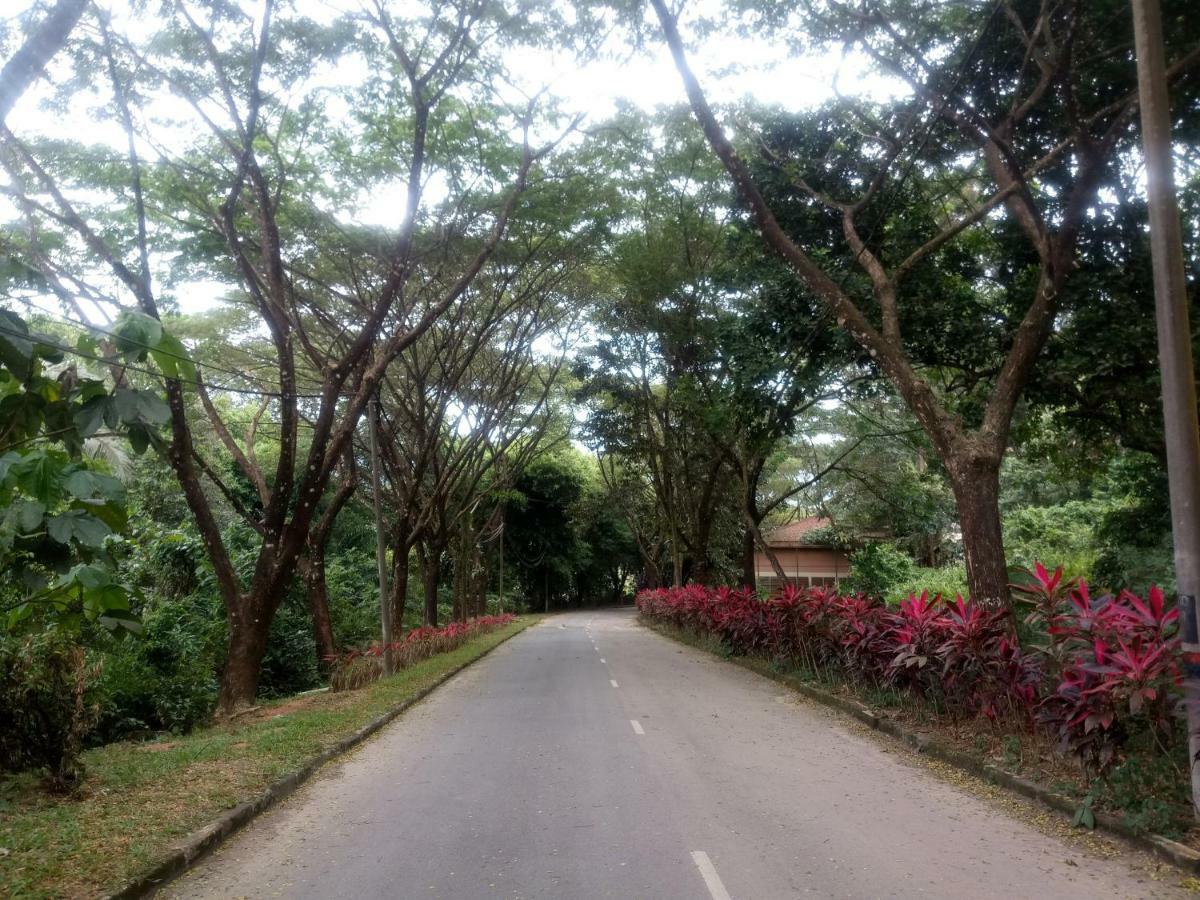 Janaview Taiping Hotel Zewnętrze zdjęcie