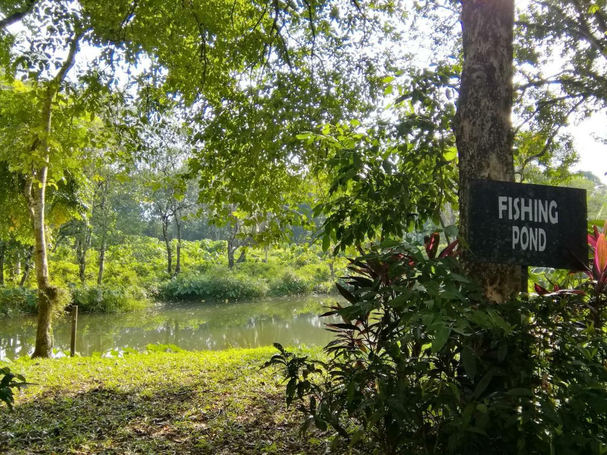 Janaview Taiping Hotel Zewnętrze zdjęcie