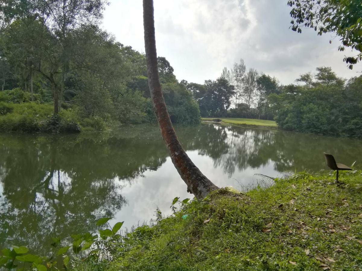 Janaview Taiping Hotel Zewnętrze zdjęcie